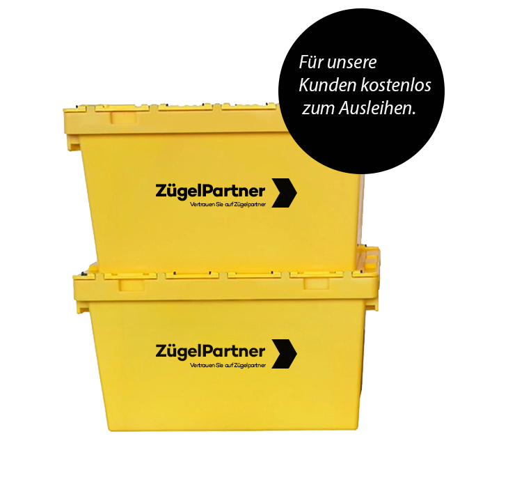Shop Zügelkisten